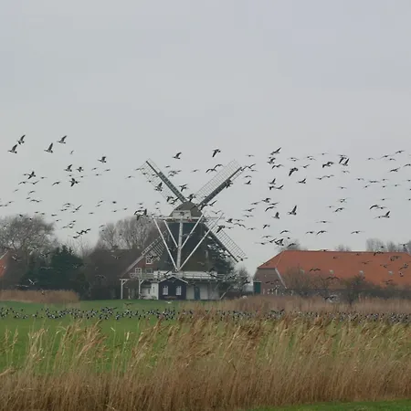 Suedblick 1whg 4 *